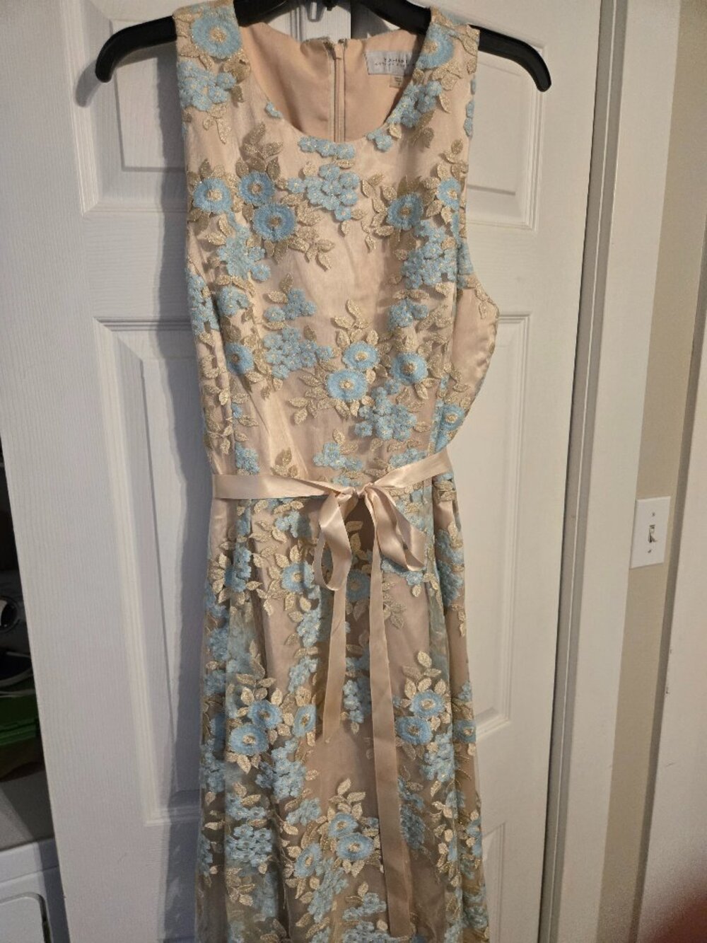 Beautiful yet Elegant Dress